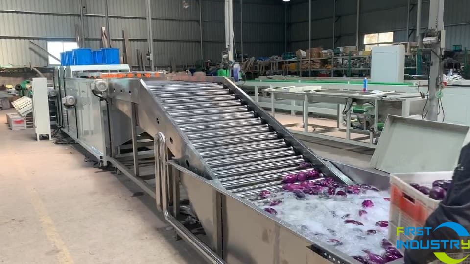 images/1584523105485Eggplant grader.jpg